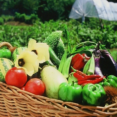 自家製野菜・熊本県産のお肉を使用した本格イタリアン♪（写真）